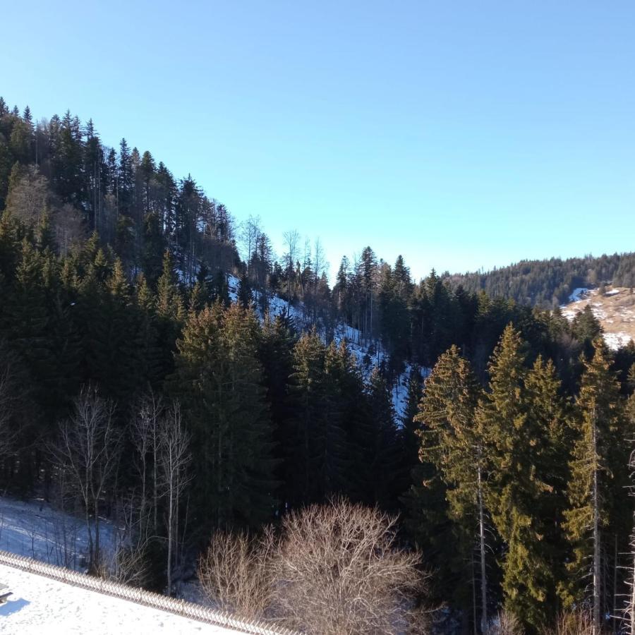 Appartement Dernier Etage Au Pied Des Pistes Hirmentaz Bellevaux Εξωτερικό φωτογραφία